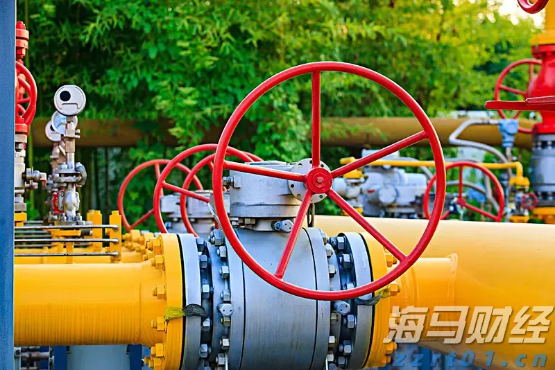 岭师健儿闪耀省大运会赛场